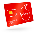 V-SIM